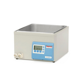 Thermo Scientific Precision GP 10